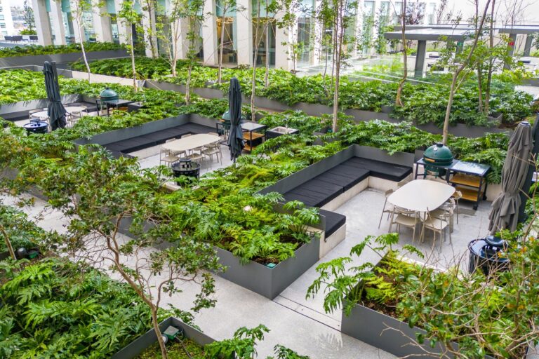 19 Agwa Bosques Amenidades